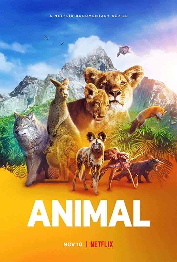 مسلسل Animal الموسم الاول الحلقة 2 الثانية مترجمة